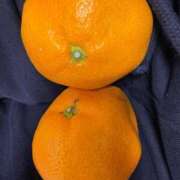 御伽ありす（新人割引9/20迄） お元気ですか💓 ウルトラグレイス24