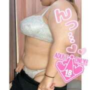 ヒメ日記 2025/10/12 13:42 投稿 らる 千葉北インターちゃんこ