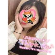 ヒメ日記 2025/12/05 00:01 投稿 らる 千葉北インターちゃんこ