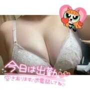 ヒメ日記 2026/01/17 12:14 投稿 らる 千葉北インターちゃんこ