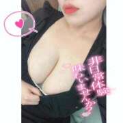 ヒメ日記 2026/01/30 20:24 投稿 らる 千葉北インターちゃんこ