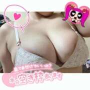 ヒメ日記 2026/02/13 02:04 投稿 らる 千葉北インターちゃんこ