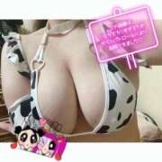 ヒメ日記 2026/03/12 22:08 投稿 らる 千葉北インターちゃんこ