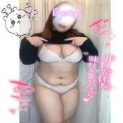 ヒメ日記 2026/03/17 20:48 投稿 らる 千葉北インターちゃんこ