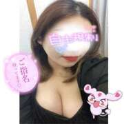 ヒメ日記 2026/04/07 21:52 投稿 らる 千葉北インターちゃんこ