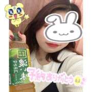 ヒメ日記 2026/04/09 20:42 投稿 らる 千葉北インターちゃんこ