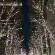 ヒメ日記 2025/12/30 22:25 投稿 りの One More 奥様 小岩店