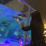 ヒメ日記 2026/01/11 11:01 投稿 クルミ ソープランドMAX‐マックス- 浅草店