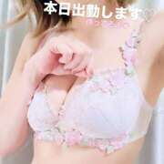 ヒメ日記 2025/10/01 15:24 投稿 まなみ 錦糸町人妻セレブリティ（ユメオト）