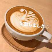 ヒメ日記 2025/10/08 19:40 投稿 まなみ 錦糸町人妻セレブリティ（ユメオト）