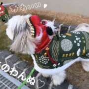 ヒメ日記 2026/01/11 18:06 投稿 まなみ 錦糸町人妻セレブリティ（ユメオト）