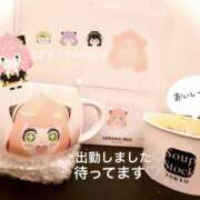 ヒメ日記 2026/01/17 13:33 投稿 まなみ 錦糸町人妻セレブリティ（ユメオト）