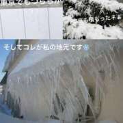 ヒメ日記 2026/02/08 17:17 投稿 まなみ 錦糸町人妻セレブリティ（ユメオト）