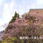 ヒメ日記 2026/02/10 15:59 投稿 まなみ 錦糸町人妻セレブリティ（ユメオト）