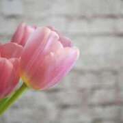 ヒメ日記 2025/09/19 09:56 投稿 かのん FResh(素人・可愛い)都城店