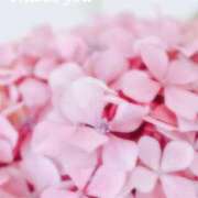 かのん ありがとう🌼*･ FResh(素人・可愛い)都城店