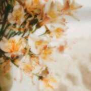 かのん ありがとう🌼*･ FResh(素人・可愛い)都城店