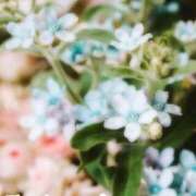 かのん ありがとう🌼*･ FResh(素人・可愛い)都城店