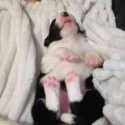 ヒメ日記 2025/10/20 01:02 投稿 みのり 東京リップ 池袋店