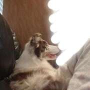 ヒメ日記 2025/11/06 02:55 投稿 みのり 東京リップ 池袋店