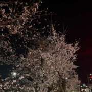 Ｓena(せな) 4 AMATERAS(アマテラス)(福山)