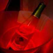 ヒメ日記 2025/11/16 21:06 投稿 ひな WHITE（金沢）