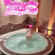 ヒメ日記 2026/04/07 02:44 投稿 るな 千葉人妻花壇