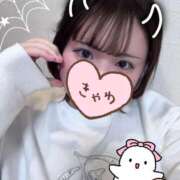 ヒメ日記 2025/10/31 15:15 投稿 ルナ ちゃんこ本厚木店