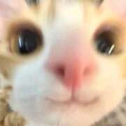 ヒメ日記 2025/09/21 18:41 投稿 なぎさ【清楚系ロリっ子天使】 Mode（モード）◆理想の彼女◆