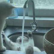 ヒメ日記 2025/09/24 21:21 投稿 なぎさ【清楚系ロリっ子天使】 Mode（モード）◆理想の彼女◆