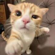 ヒメ日記 2026/04/10 18:31 投稿 なぎさ【清楚系ロリっ子天使】 Mode（モード）◆理想の彼女◆