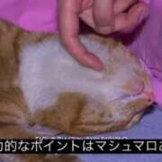 なぎさ【清楚系ロリっ子天使】 【お礼写メ日記】 Mode（モード）◆理想の彼女◆