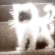 ヒメ日記 2026/04/21 12:21 投稿 なぎさ【清楚系ロリっ子天使】 Mode（モード）◆理想の彼女◆