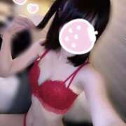 ヒメ日記 2025/09/21 18:30 投稿 はやて プリンセスセレクション姫路