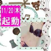 ヒメ日記 2025/11/20 16:33 投稿 かえで 美熟女倶楽部Hip's 春日部店