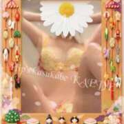 ヒメ日記 2026/03/03 12:12 投稿 かえで 美熟女倶楽部Hip's 春日部店