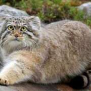 【アヤノ】9月19日体験です。 復活の兆し。 マネキン 名駅店