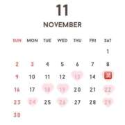 ヒメ日記 2025/11/10 10:06 投稿 桃園ゆあ 皇帝別館（こうていべっかん）