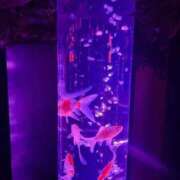 ヒメ日記 2025/09/29 19:53 投稿 まい★ハーフのドMちゃん！ 立川女学園