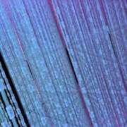 ヒメ日記 2026/02/06 22:33 投稿 まい★ハーフのドMちゃん！ 立川女学園