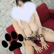 ヒメ日記 2025/10/29 16:59 投稿 かぐや ごほうびSPA 大阪店