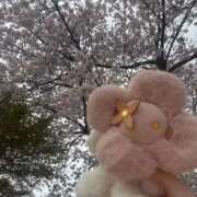 ヒメ日記 2026/04/07 22:33 投稿 あさ★S級小柄美少女 立川女学園