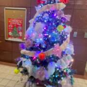 ヒメ日記 2025/12/01 07:35 投稿 かおり 水戸人妻花壇