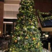 ヒメ日記 2025/12/09 11:42 投稿 かおり 水戸人妻花壇