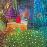 ヒメ日記 2025/12/15 17:38 投稿 かおり 水戸人妻花壇