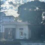 ヒメ日記 2025/12/31 10:33 投稿 かおり 水戸人妻花壇