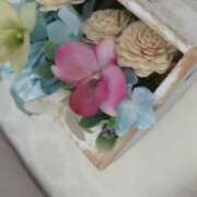 ヒメ日記 2026/01/13 16:47 投稿 かおり 水戸人妻花壇