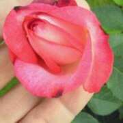 ヒメ日記 2026/01/23 14:42 投稿 かおり 水戸人妻花壇