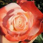 ヒメ日記 2026/01/27 00:06 投稿 かおり 水戸人妻花壇