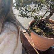 ヒメ日記 2026/02/04 19:35 投稿 かおり 水戸人妻花壇